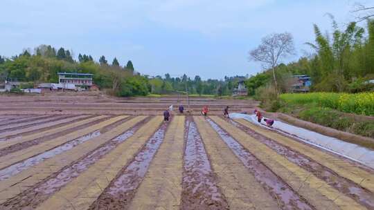 高清航拍乡村农田稻田农村山水风光自然风景