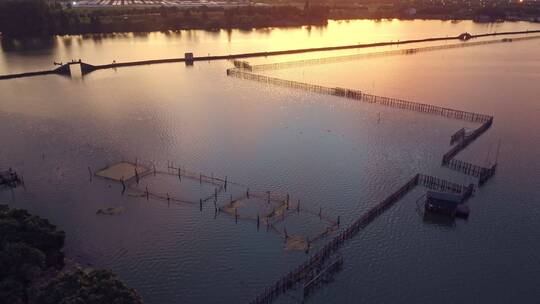 镜湖国家城市湿地中心 犭央犭茶湖晚霞风景