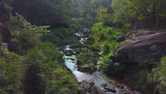 山林间溪水潺潺