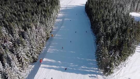 滑雪者下山的鸟瞰