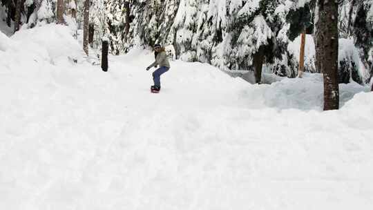 单板滑雪高山滑雪速降滑雪