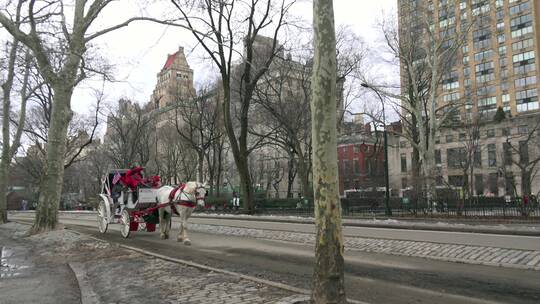 马车穿过纽约中央公园视频素材模板下载