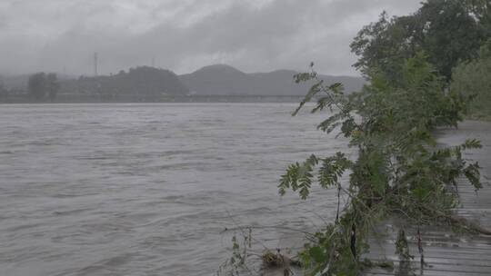 暴雨洪水LOG视频素材