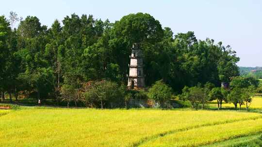 4k长沙望城惜字塔秋景