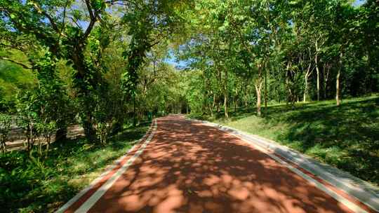 公园道路跑道 林间小路 林荫大道