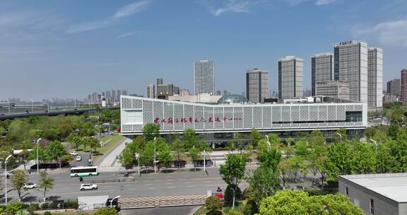 武汉国际体育文化交流中心