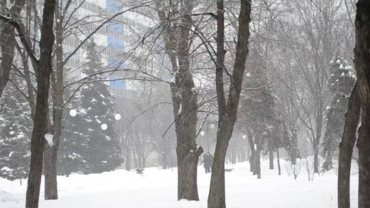 城市公园里下着厚厚的雪