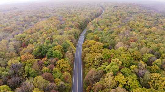 航拍森林公路