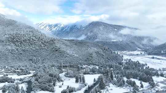 西藏林芝鲁朗林海雪原冬天乡村雪景风光航拍