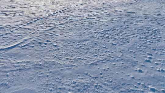 白雪皑皑雪地