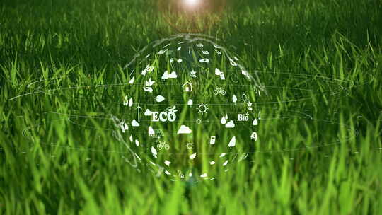 草地和二氧化碳挥发的数据概念