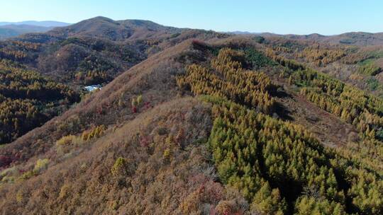 航拍东北秋天山区风光视频素材模板下载