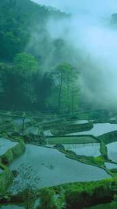 治愈风景 唯美 多彩