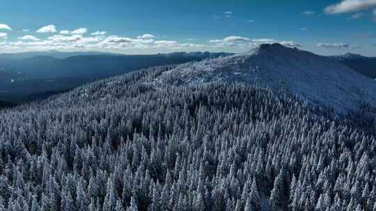 雪景森林山顶雪松山峰唯美自然风景