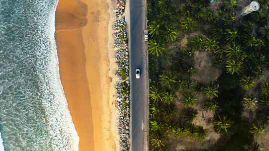 4K航拍海南万宁日月湾海边椰林公路