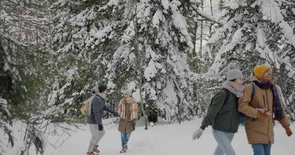 朋友，徒步旅行，塔加奈国家公园，雪