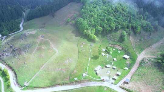 4K夏天户外森林山坡草坪航拍视频