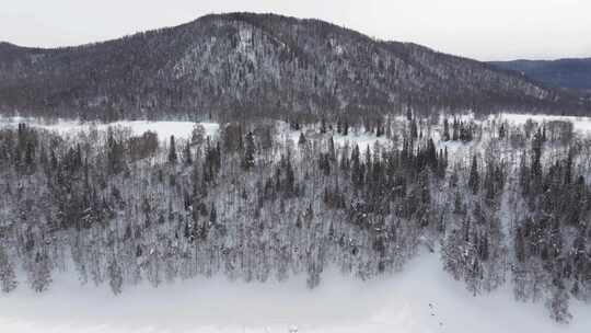 航拍冬季新疆阿勒泰禾木雪景雪山森林村落