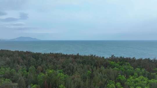 海南海岸防风林航拍