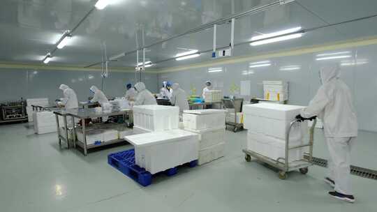 食品加工厂工作场景