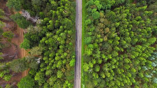 航拍森林中的公路