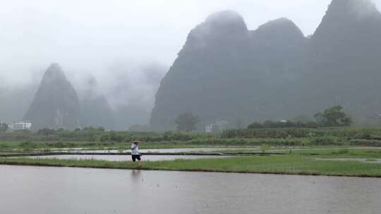 下雨天农民行走在田埂上视频素材模板下载