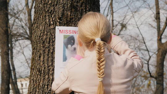 一只失踪宠物的海报视频素材模板下载