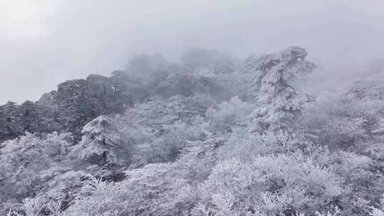 安徽黄山雪景