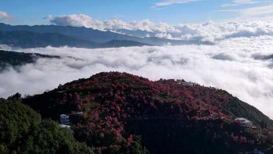 中国云南大理无量山樱花谷日出云海航拍