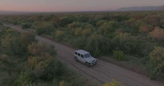 SUV，驾驶，冒险，无人机