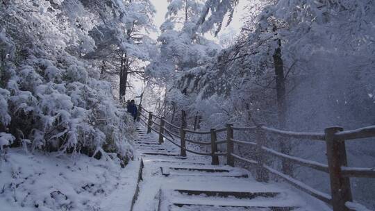 男人走在大雪覆盖的峨眉山林中步道