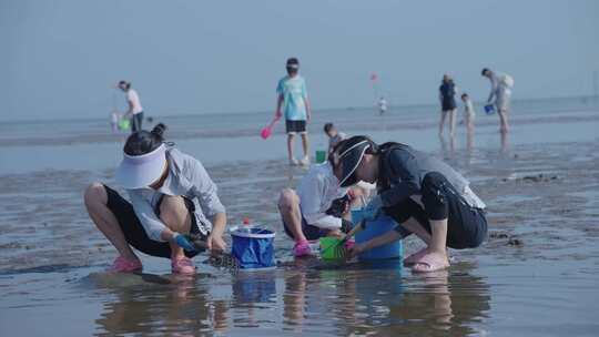 赶海 挖贝类 沙滩 捕鱼