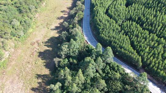 森林公路航拍树林道路汽车行驶航拍山区山路