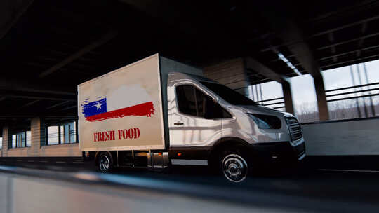 智利新鲜食品运输