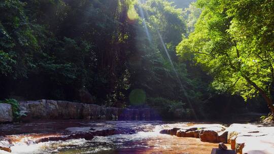 森林阳光水流河流