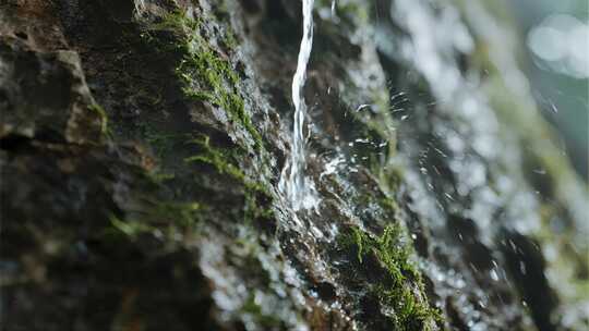 浙江青苔岩石水珠微距自然生态视频