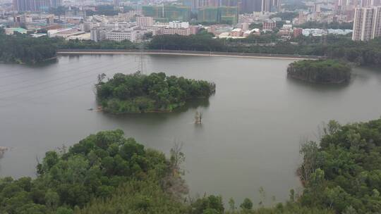 航拍深圳龙华区观澜河流及城区绿化