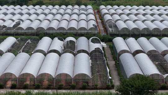 现代化农业大棚基地