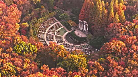 南京钟山风景区音悦台秋景