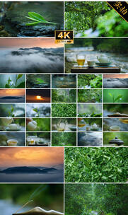 4k茶 茶叶 采茶制茶工艺泡茶茶道茶文化高清在线视频素材下载