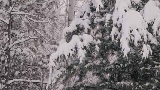 长白山正在下雪