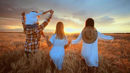 日落时分一家人在夏季麦田上跑步