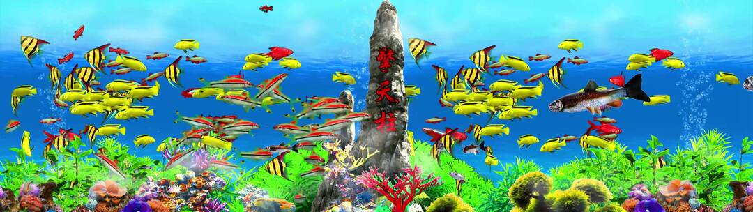 3D海底鱼群观赏鱼鱼缸无缝循环