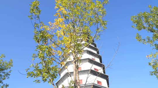 郊野公园 雄安郊野公园 雄安新区 郊野公园