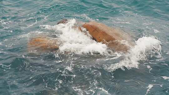 海边岩石海浪