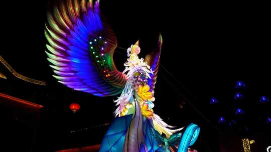 中国秦淮灯会，南京夫子庙老门东的凤凰花灯