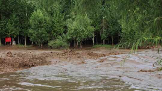 【合集】暴雨后洪水 山洪  泥石流