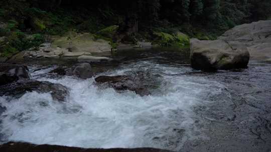 山间小溪 清澈的泉水 空镜头视频素材模板下载