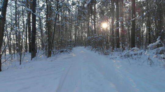 白雪覆盖的森林道路