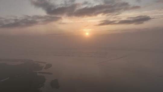 航拍苏州阳澄湖大闸蟹蟹田养殖阳澄湖风光